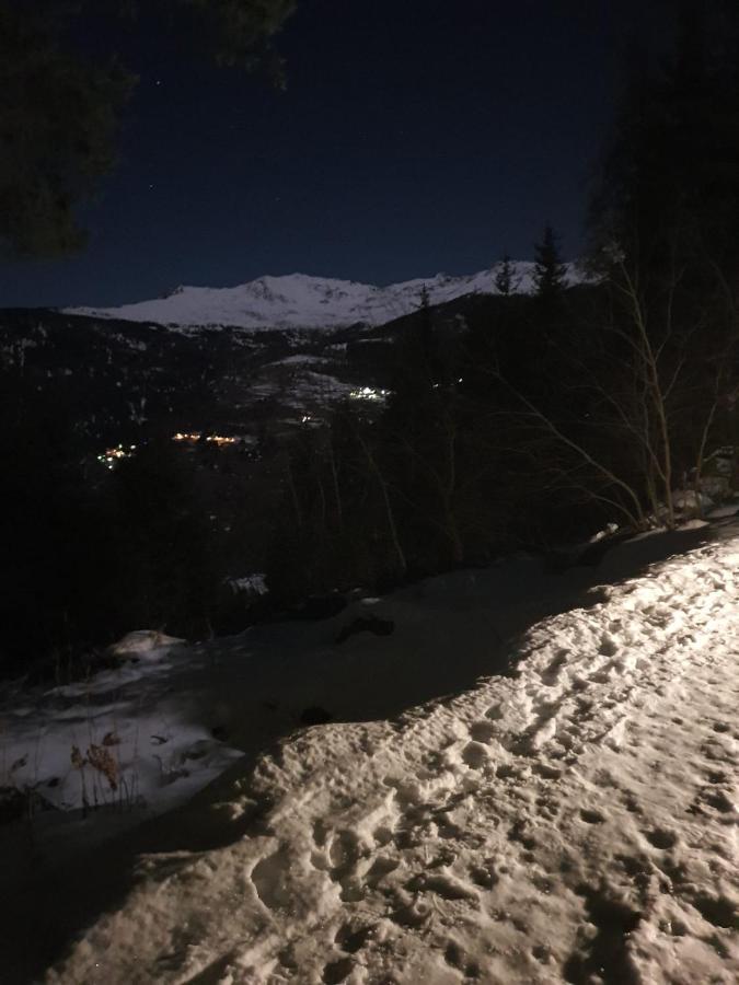 Marilleva 1400 Tra Sport E Natura Eksteriør bilde